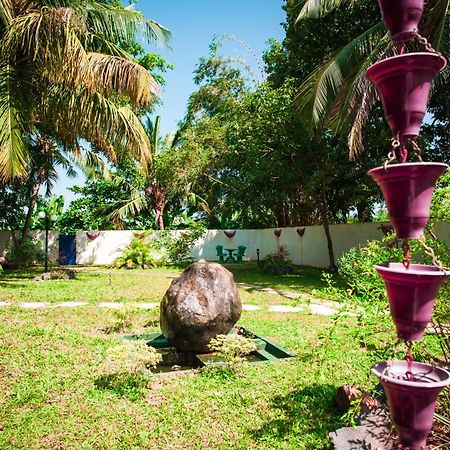 Dream Villa Mirissa Zewnętrze zdjęcie