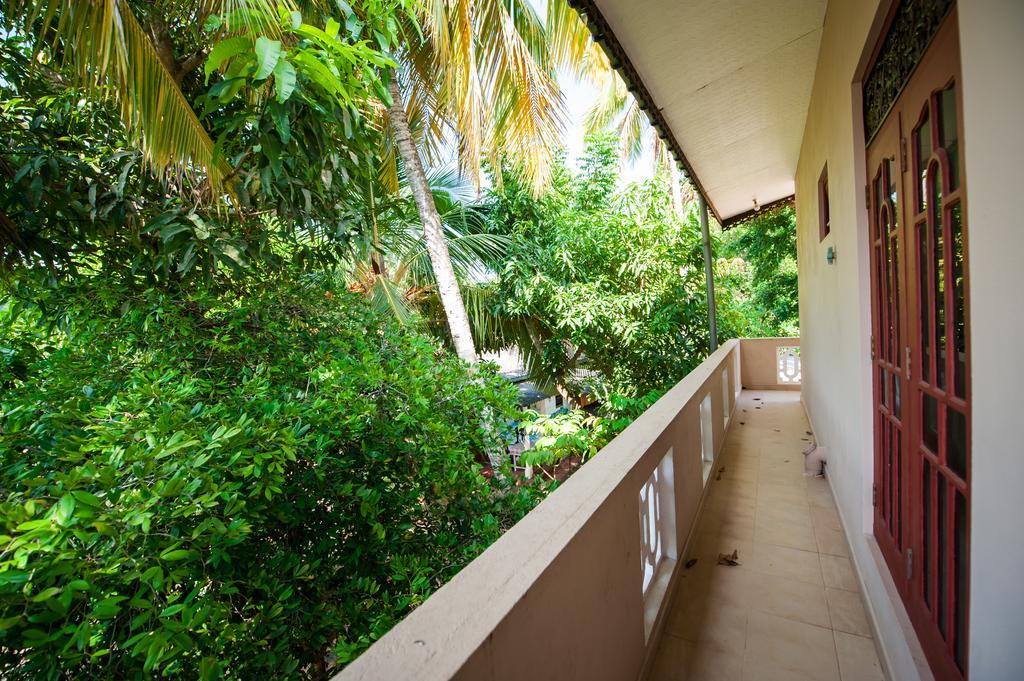 Dream Villa Mirissa Zewnętrze zdjęcie