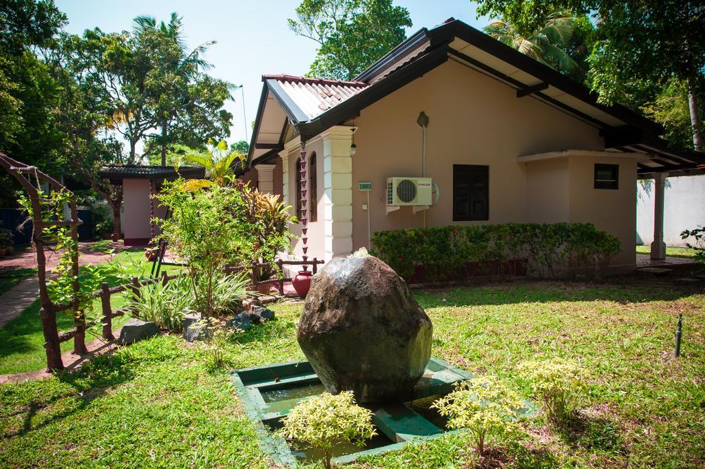Dream Villa Mirissa Zewnętrze zdjęcie