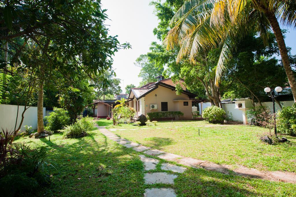 Dream Villa Mirissa Zewnętrze zdjęcie